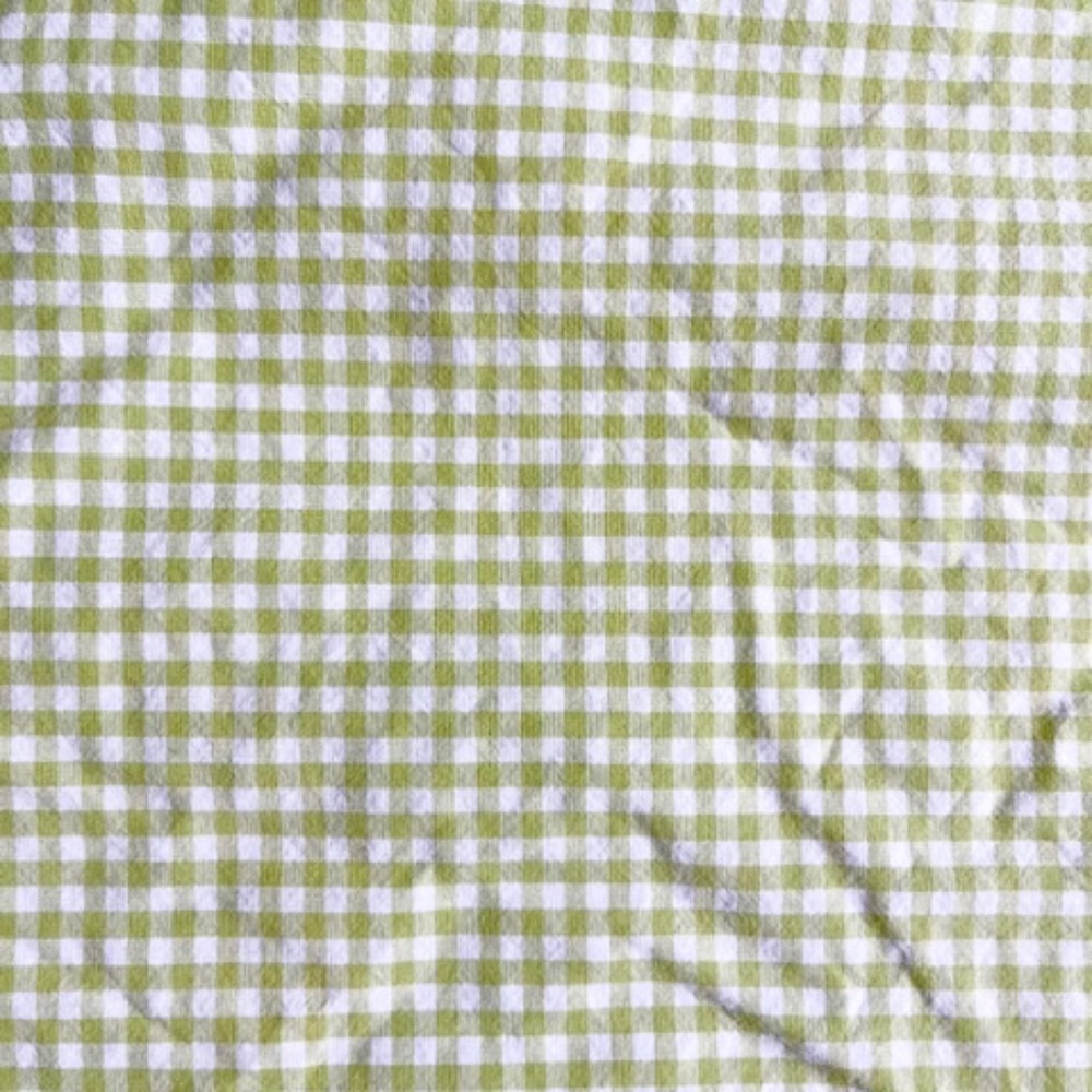 Pottery Barn Kids Gingham Twin Sheet Set